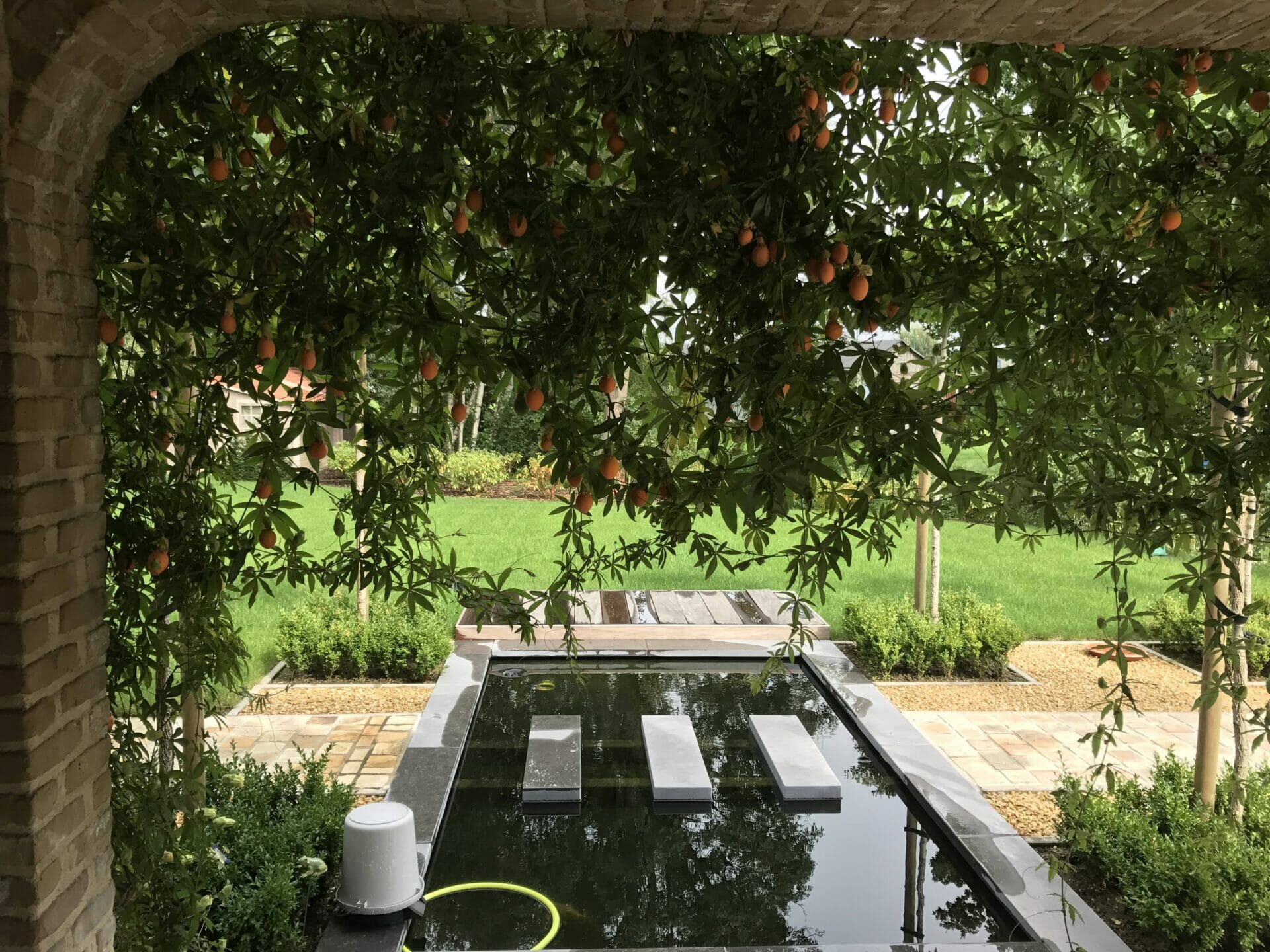 tuinaanleg appelsienboom